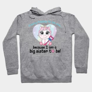 Cute Fairy Happy to Be Unicorn Sister Hoodie